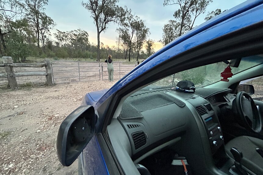 photo taken from the window of a car, can see a woman in the distance leaning on a gate looking out at a property