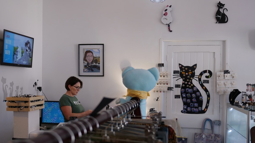 Tracey Austin behind the counter with cat themed clocks, a cat movie and other feline paraphernalia. 