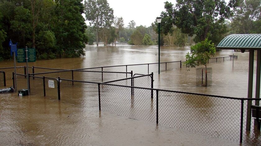 The dog park at the Brisbane suburb of Ferny Grove disappears under floodwaters