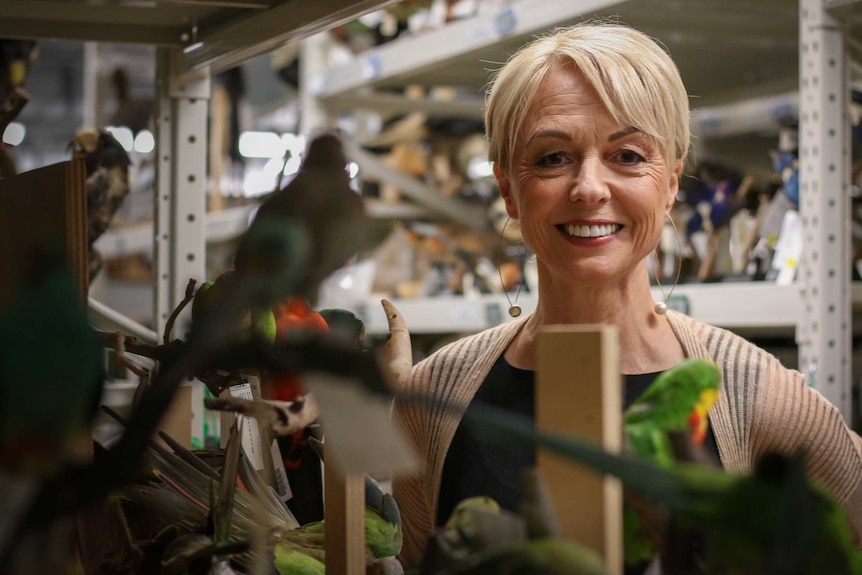 Museums Victoria CEO Lynley Marshall behind part of the museum's collection of taxidermied birds.