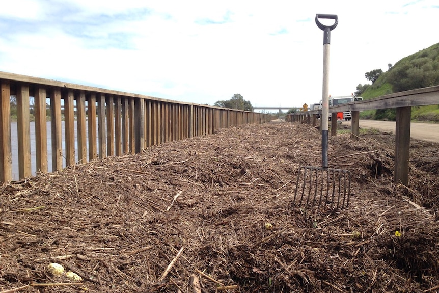 Port Noarlunga flood damage