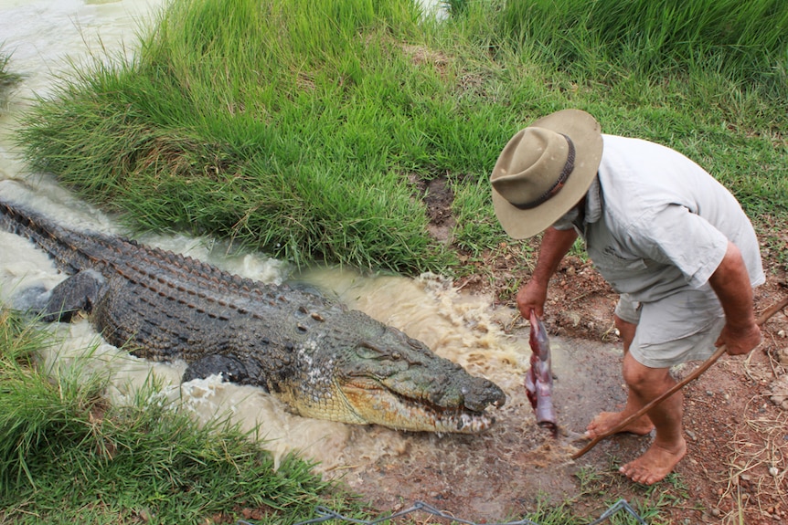 Rob feeding a crocodile