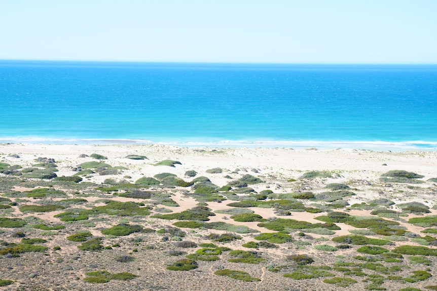 Blue water and sky, white beach, patchy greenery