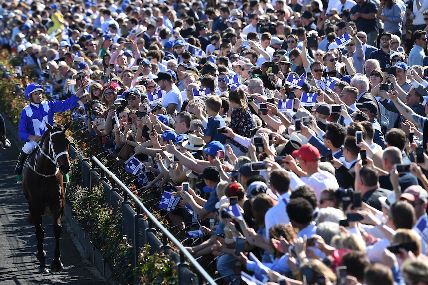 Hugh Bowman celebrates atop Winx after winning Turnbull Stakes