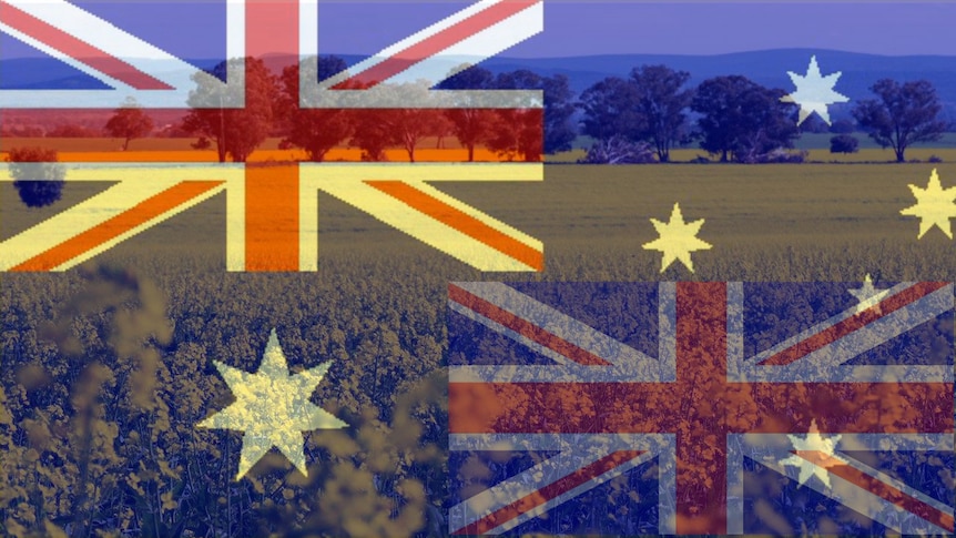 Australia and UK flags superimposed on a canola crop