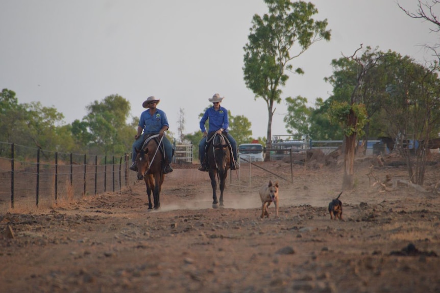 Raine and Potter Holcombe ride horses with their dogs alongside.