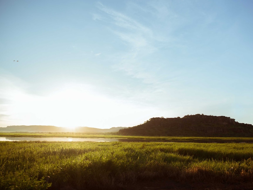 The sun rises over the billabong at Gunbalanya