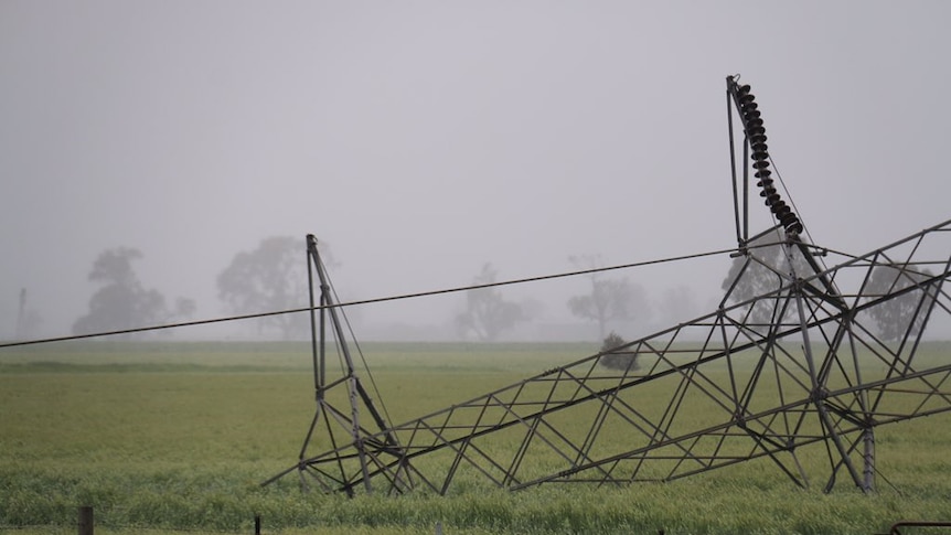 Collapsed transmission tower