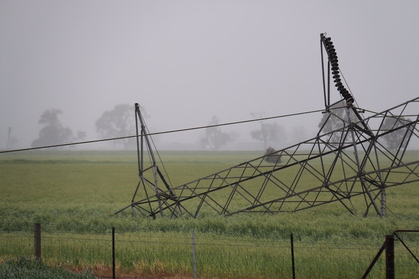 Collapsed transmission tower