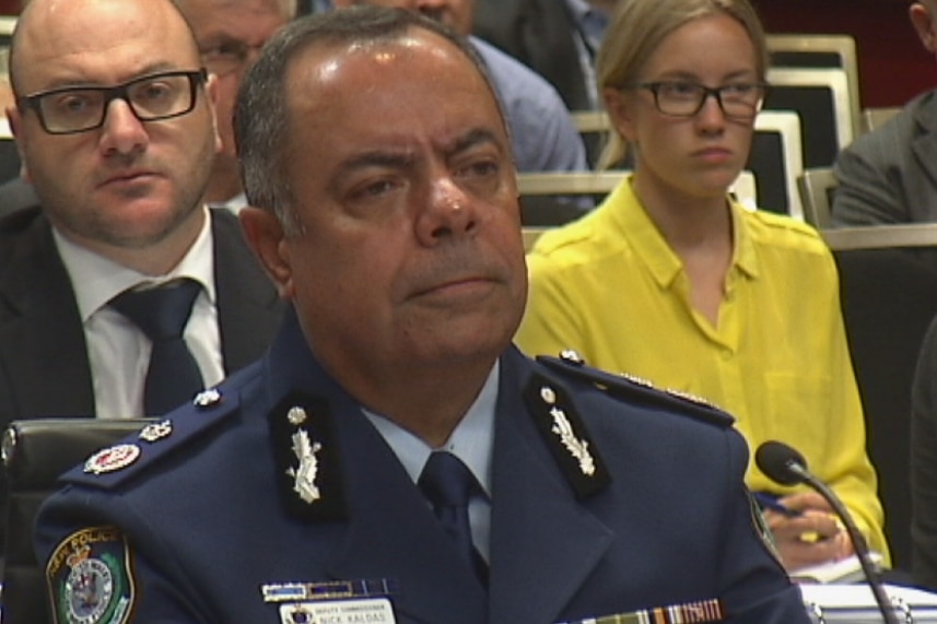 NSW Police Deputy Commissioner Nick Kaldas appears before a parliamentary hearing.