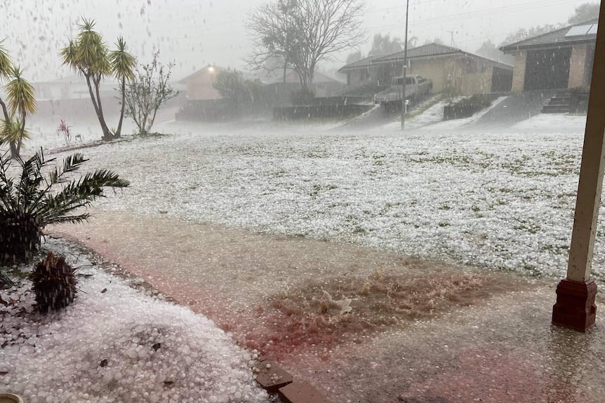 White hailstones cover a front yard.