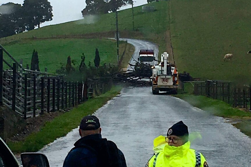 A TasNetworks crew attend a fallen tree across Central Castra Road, near Ulverstone, Tasmania.