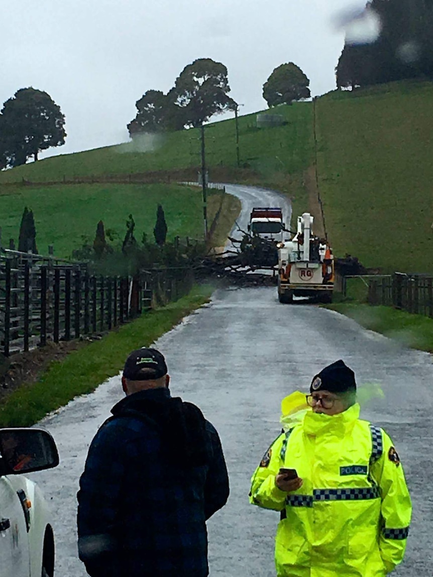 A TasNetworks crew attend a fallen tree across Central Castra Road, near Ulverstone, Tasmania.