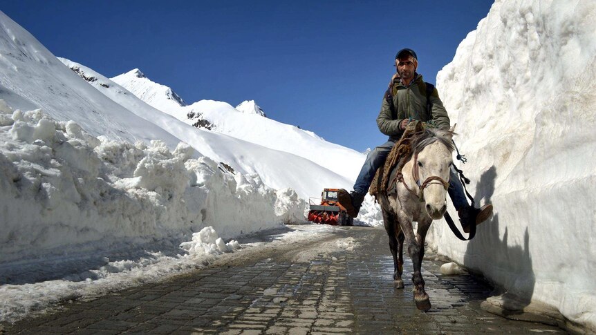 Low down, front on view of a Kashmiri man riding on horseback on a cobbled road between walls of snow.