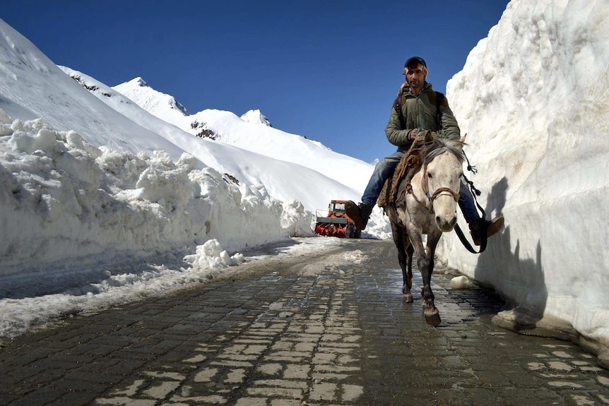 Low down, front on view of a Kashmiri man riding on horseback on a cobbled road between walls of snow.