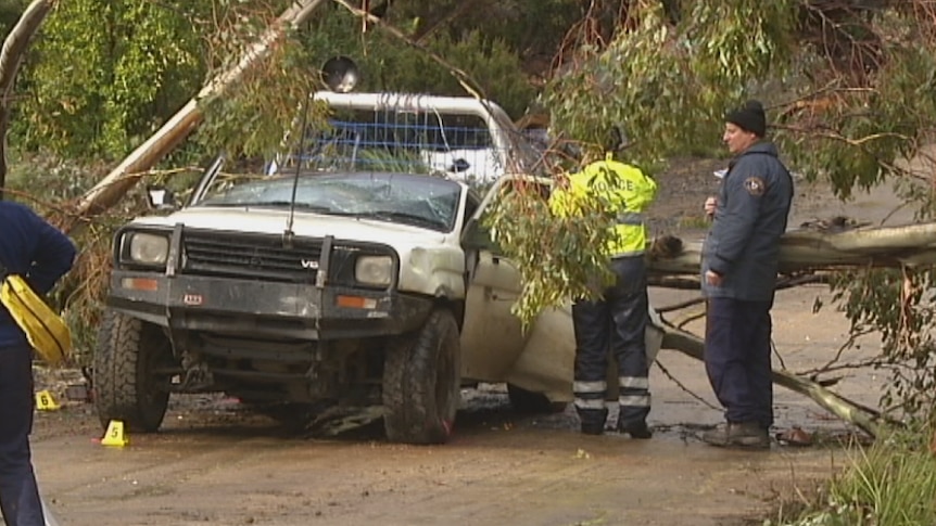 Tasmania Police investigating the death of a boy after a tree fell on a car at Mt Lloyd, 2015