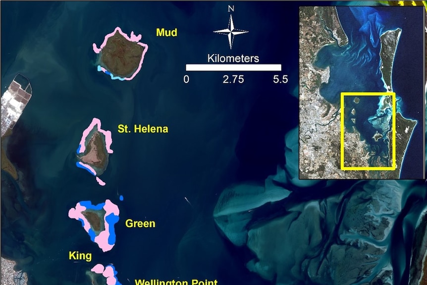 University of Queensland's map of reef in Moreton Bay