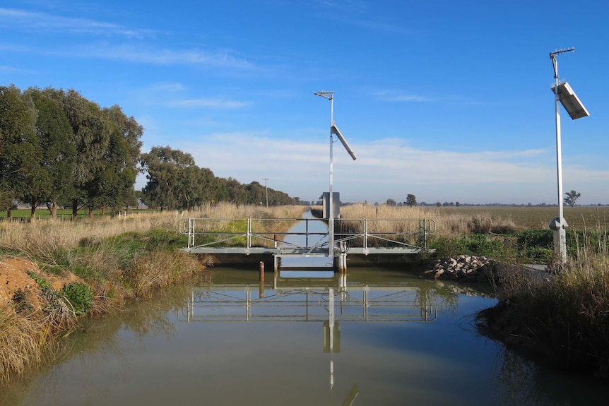 An irrigation channel flows away from camera into the distance.