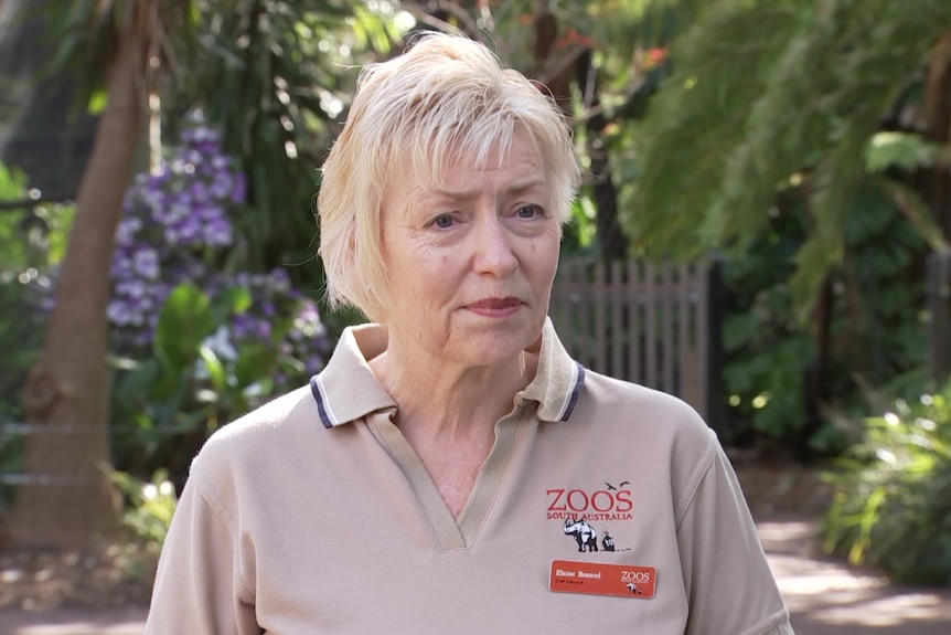 a woman in a beige Zoos SA top speaking at a zoo
