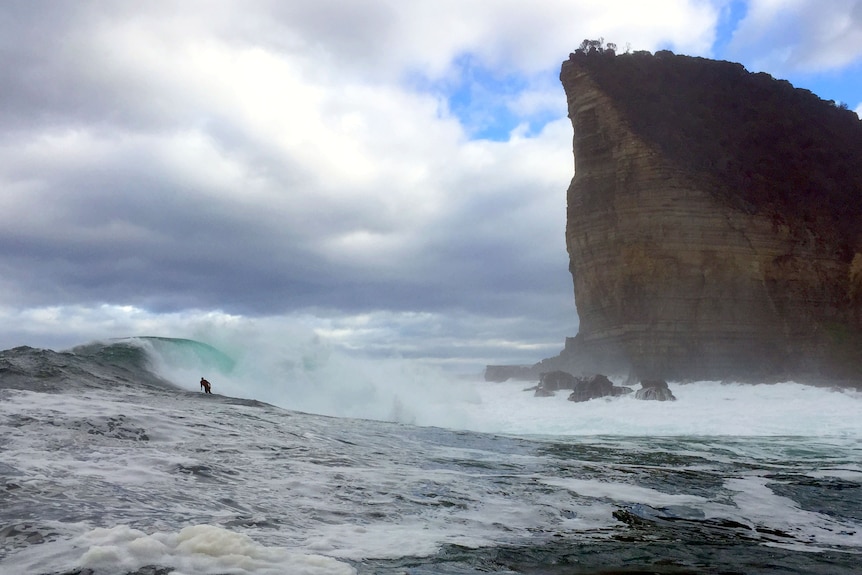 A surfer rides the waves in Shipstern Bluff