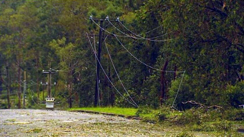 TV still of storm-blown powerlines laying on the street and tree debris in Brisbane