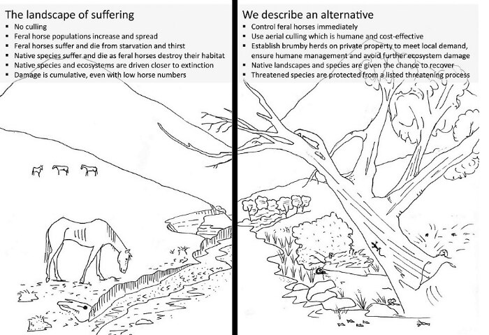 This is a cartoon picturing horses and trees in an alpine environment with words describing the damage.