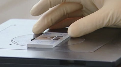 Support grows: More men than women are comfortable with stem cell research. [File photo]