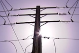 Sun shines against power pole in NSW.