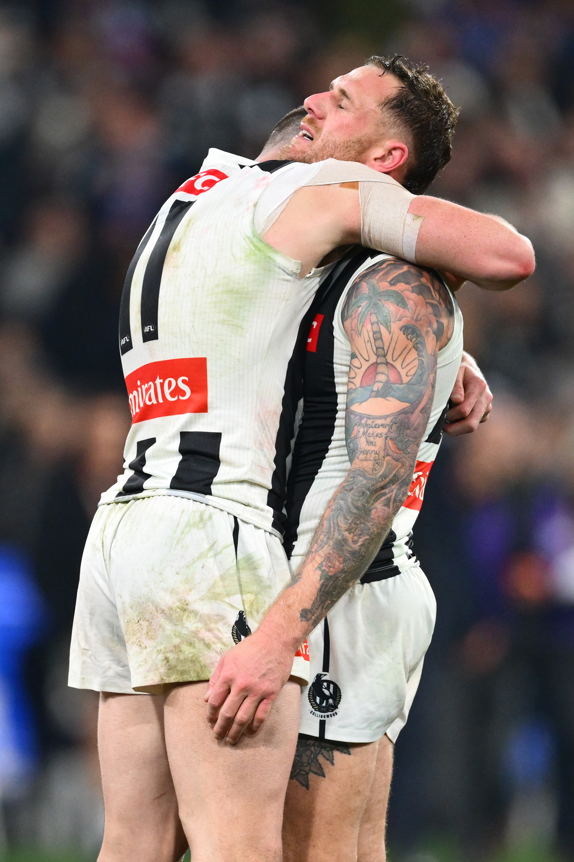 Live: Pies miss post-siren shot at goal to lose wildcard clash to Dogs
