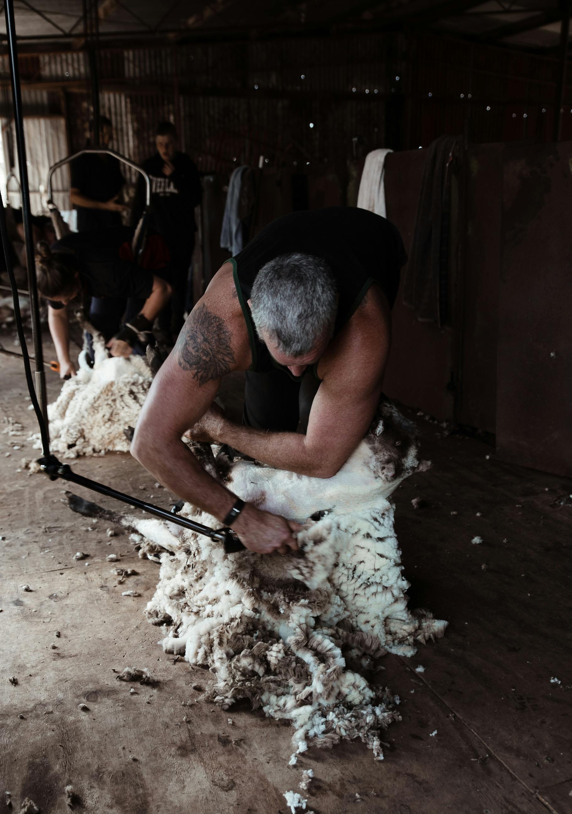 Tackling mental health in the shearing sheds - ABC listen