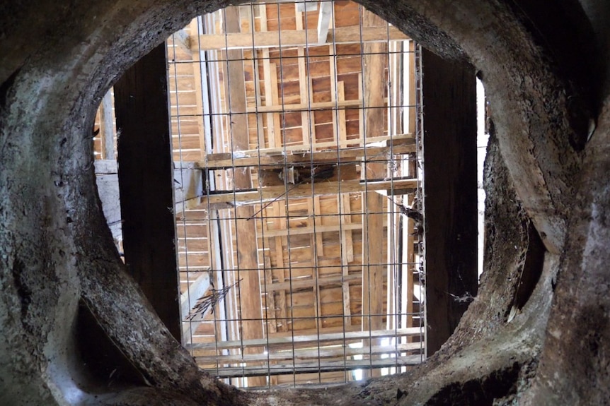 Looking up through a rocky hole with a metal grid and wooden structure above
