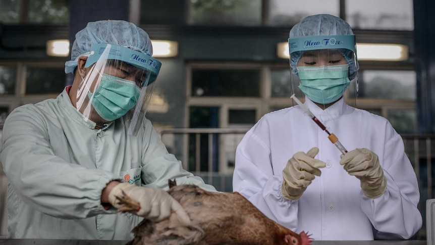 Taiwanese authorities are monitoring hundreds of people who may have had contact with a mainland Chinese tourist infected with the H7N9 strain of bird flu.