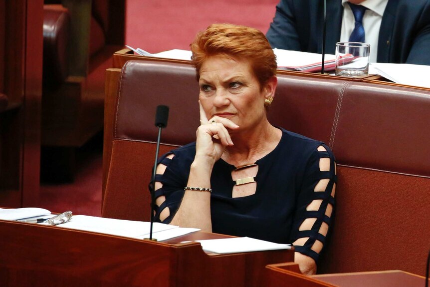 Pauline Hanson in the Upper House.