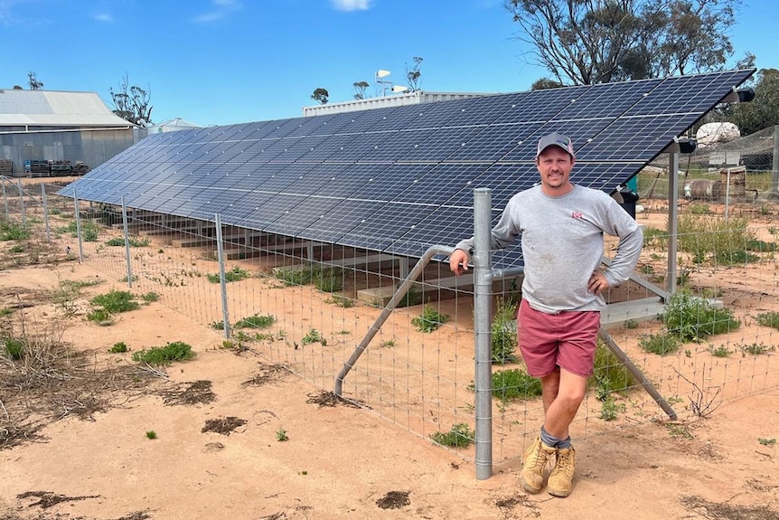 A man poses near a ground-mounted solar array
