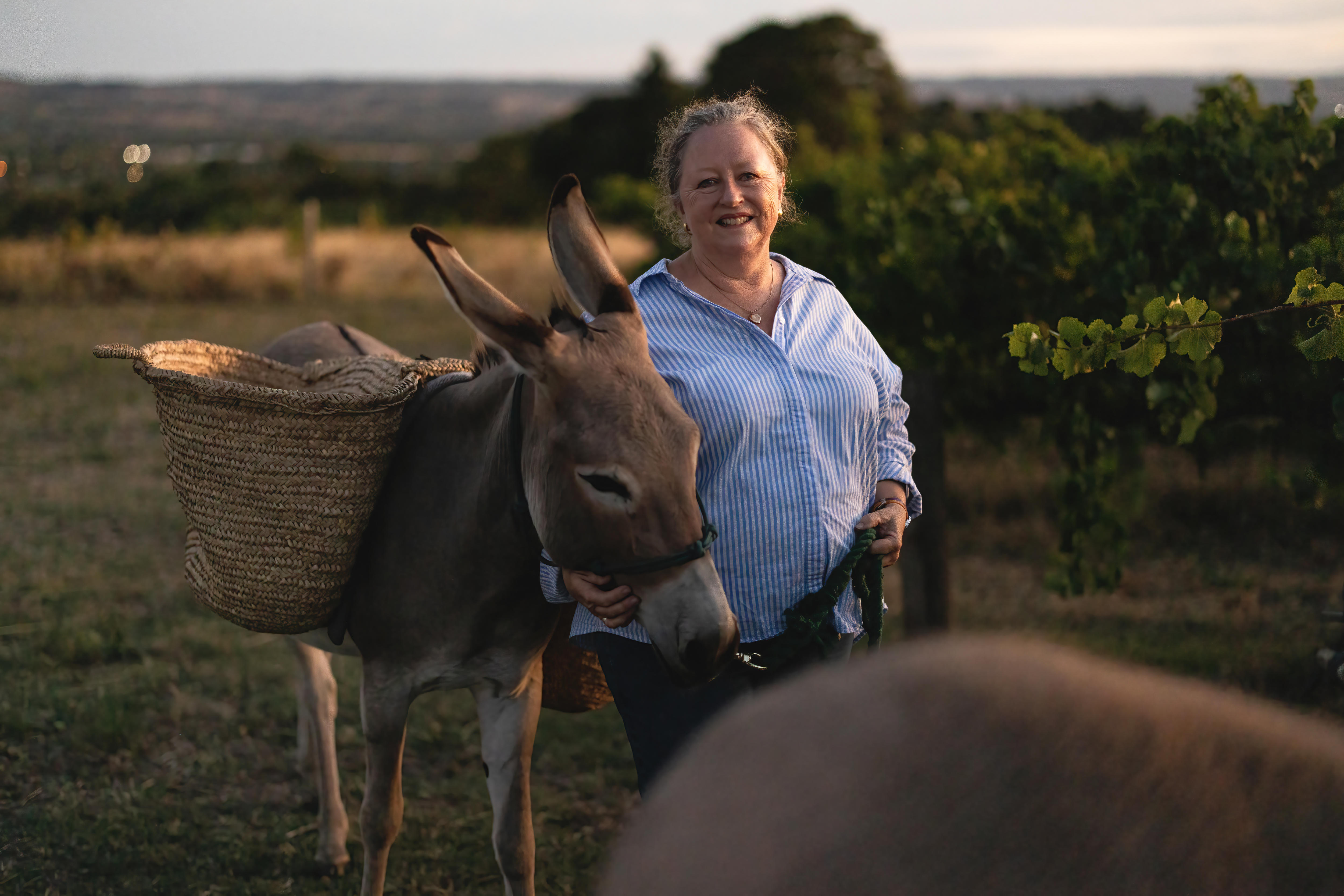 A woman smiles alongside her donkey. It has a basket strapped to its back. 