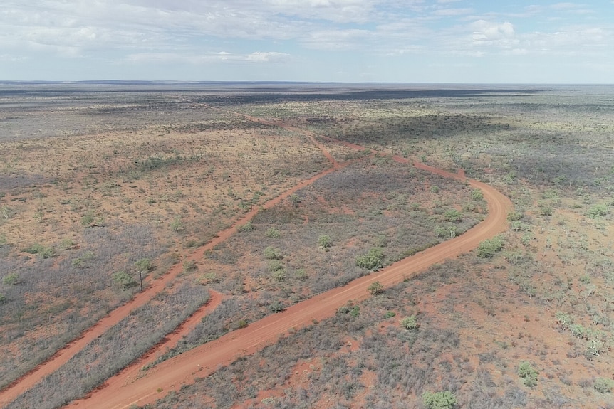 A drone shot of landscape in Central Australia. There are trees and red dirt roads