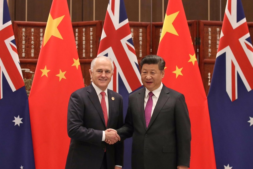 澳大利亚前总理特恩布尔和中国国家主席习近平握手。
