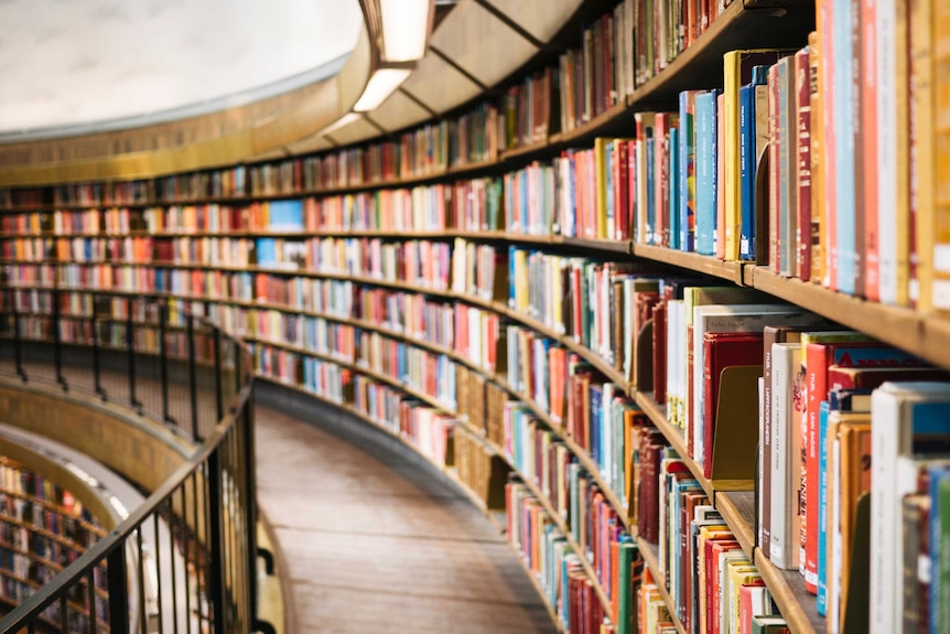 Shelves of books at library