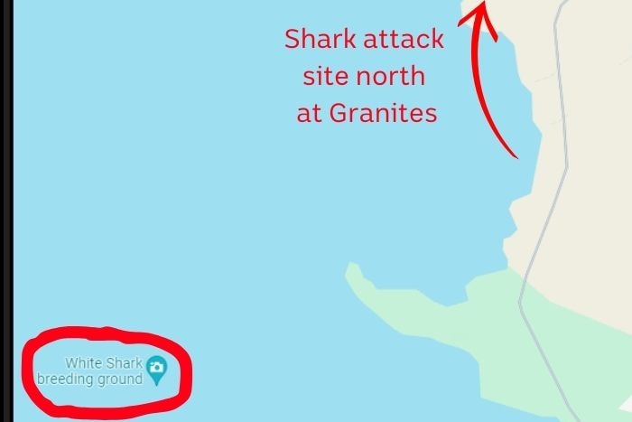 Google map images of two coastal areas with labels for shark breeding sites circled in red.