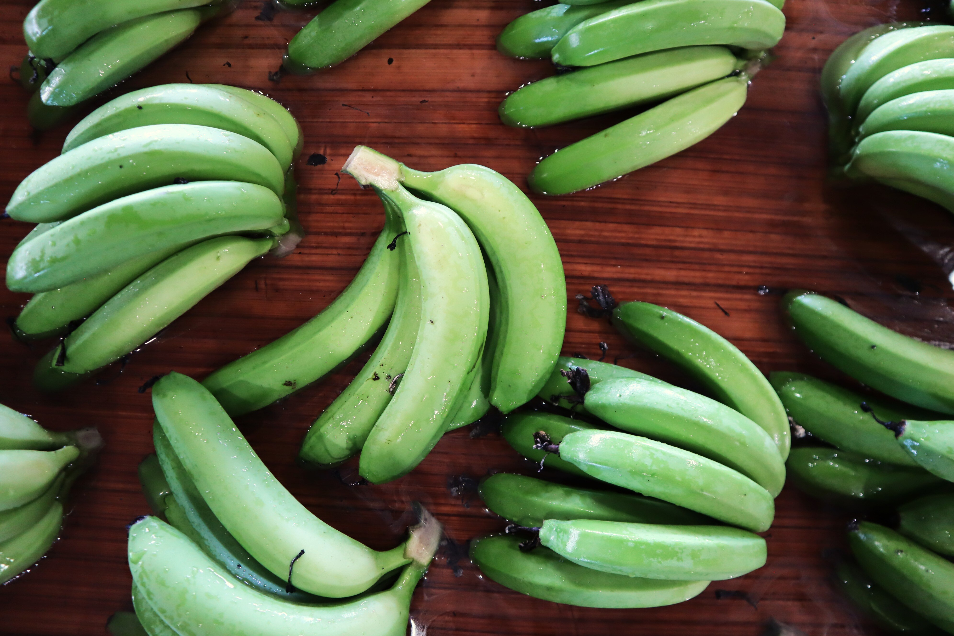 Green bananas being washed in a packing shed.
