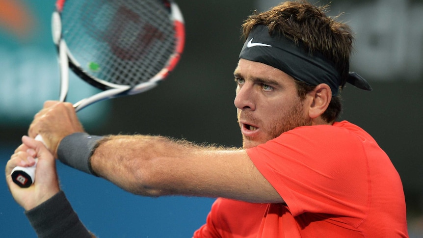 Juan Martin Del Potro in action in the final of the Sydney International in January 2014.