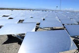 Heliostat panels at a solar thermal power plant