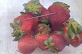 A punnet of strawberries purchased in a Gatton supermarket with a piece of metal inside.