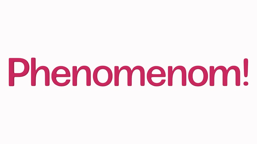 Phenomenom Logo