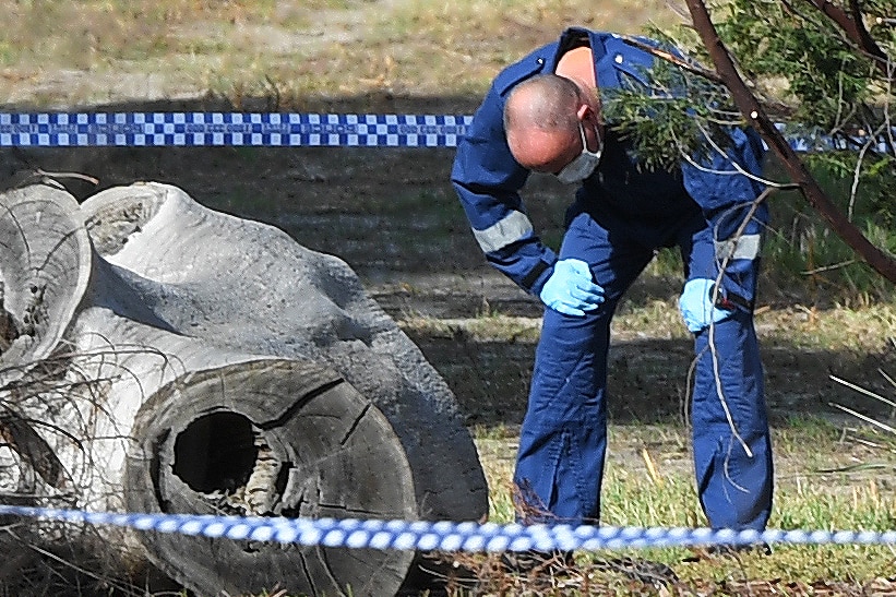 A forensic investigators leans forward to examine a large log in a park where a woman's body was found.