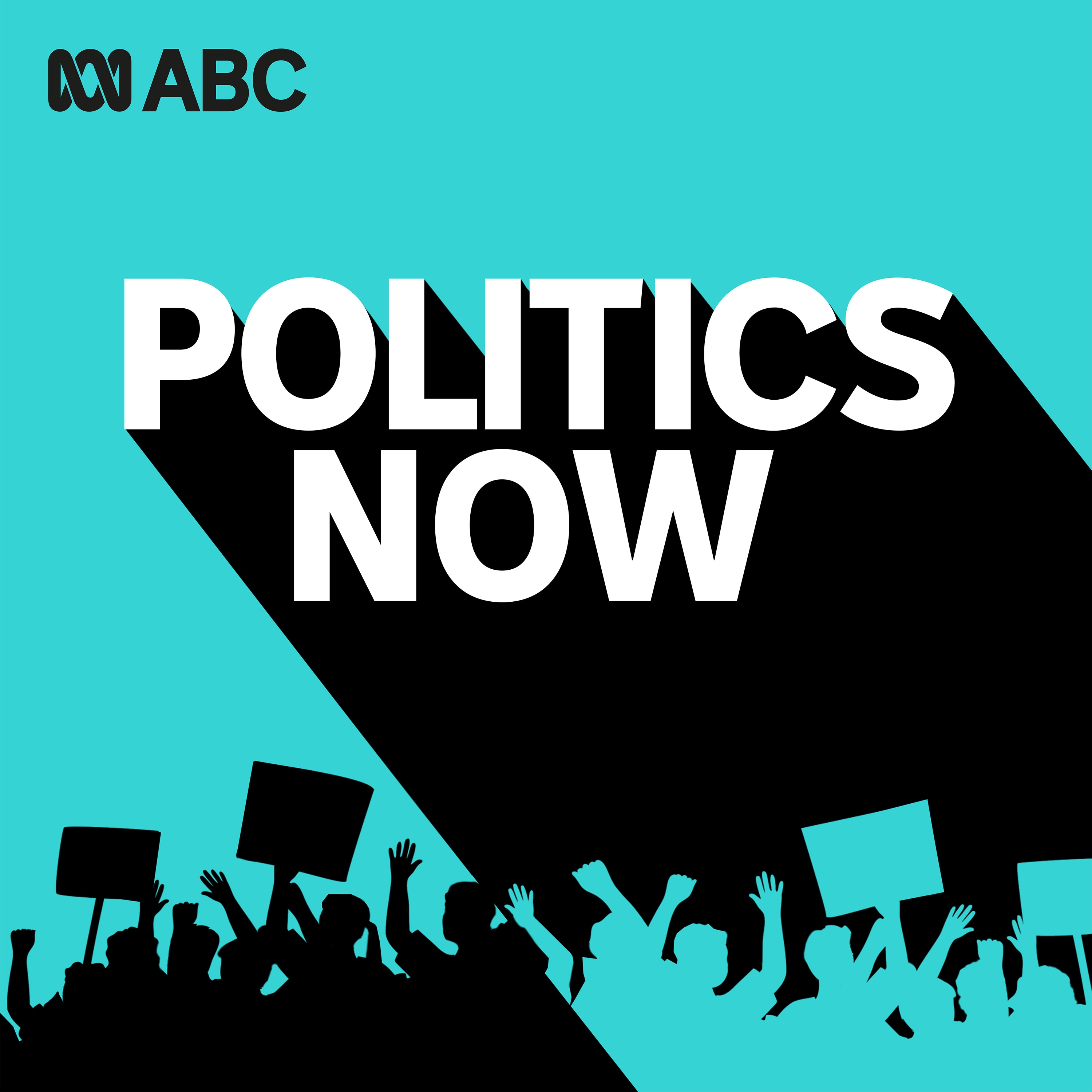 Podcast Image