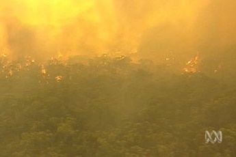 Firefighters are keeping three large bushfires behind containment lines in Victoria (file photo).