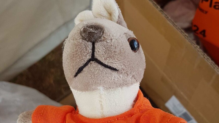 A kangaroo soft toy wearing an orange t-shirt advertising funeral insurance