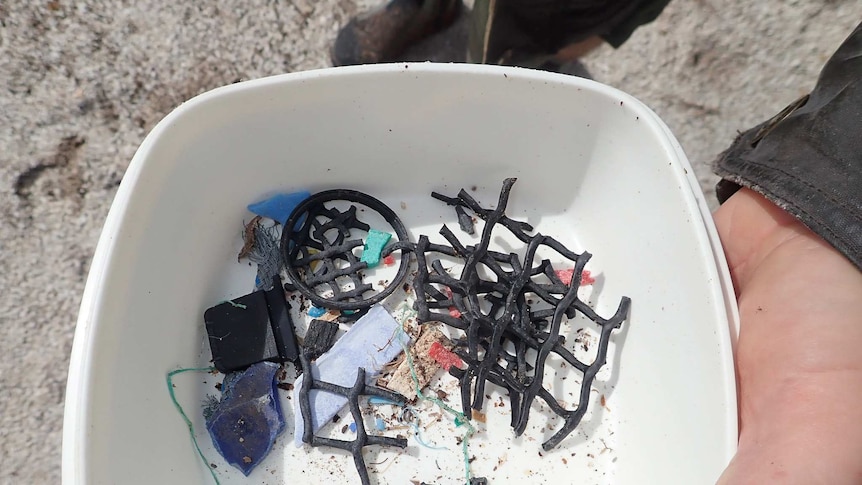 A bowl full of plastic debris is held in a woman's hands.