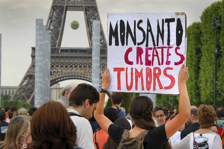 Protest march against Monsanto Co in Paris, France, May 23, 2015.